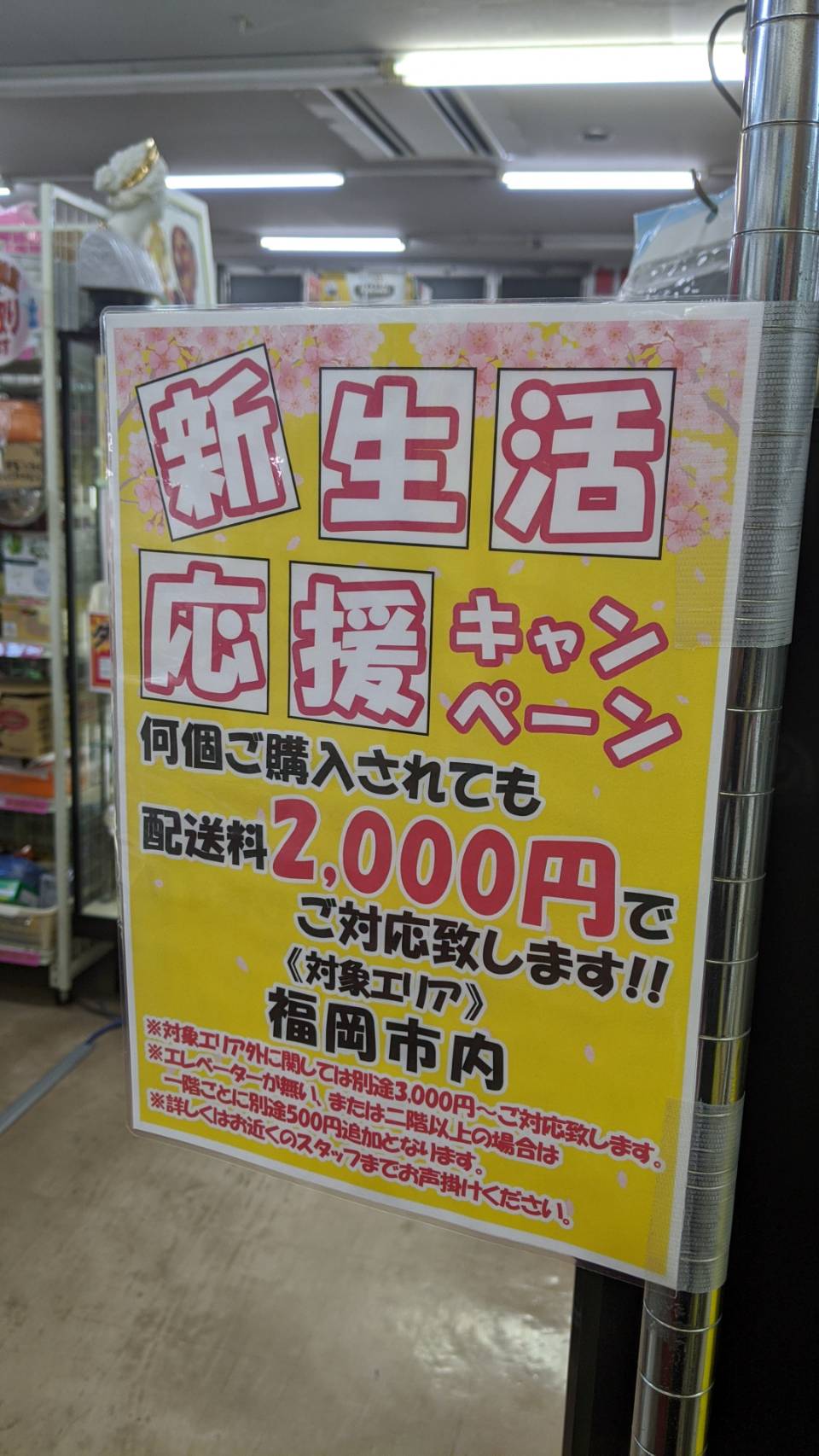 新生活応援キャンペーン♪配送料も2,000円♪