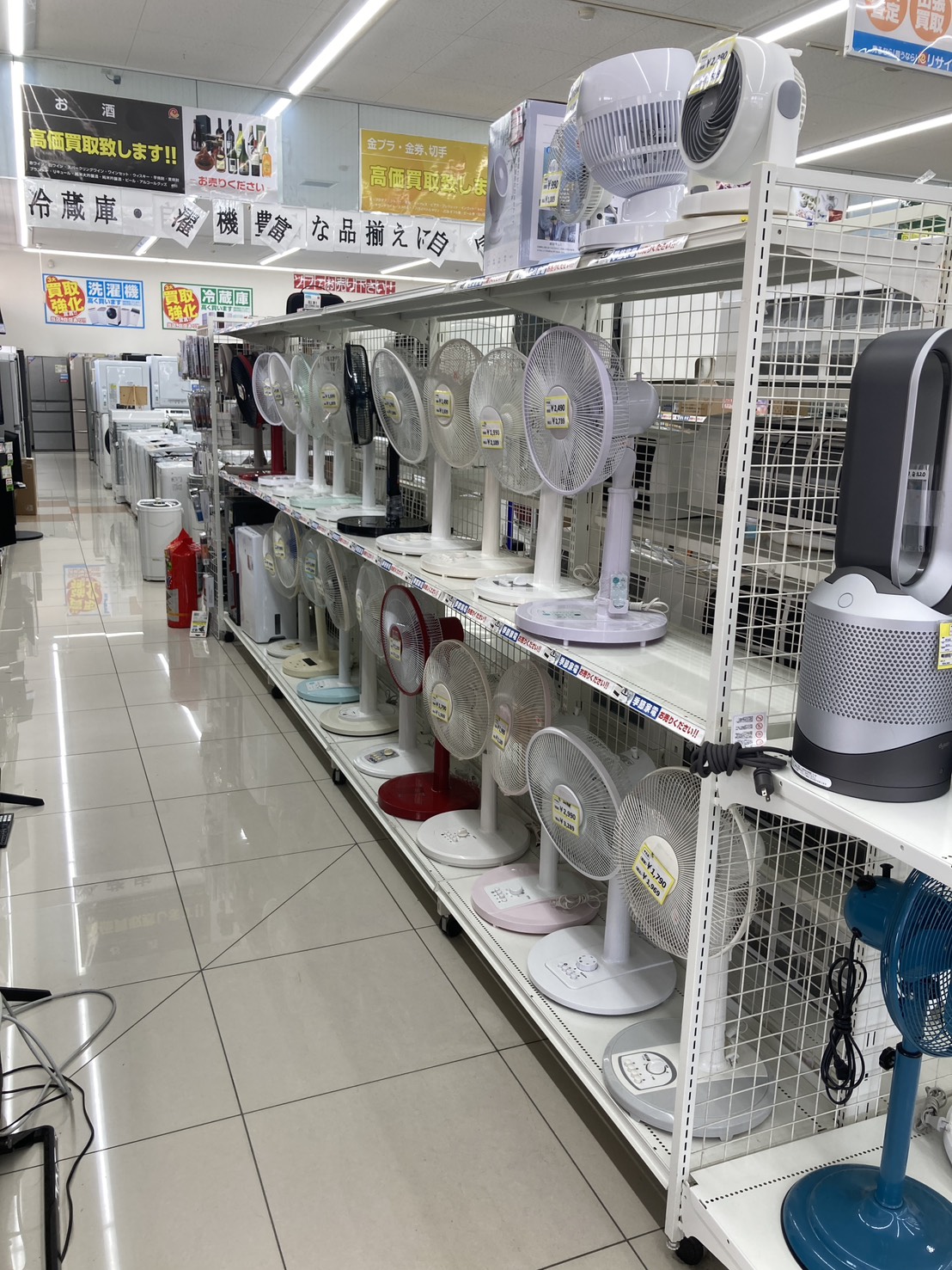 夏物家電展開中です🐧